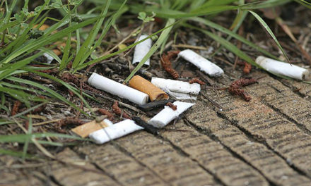 Miami Beach prohíbe fumar en las playas y parques desde enero, pero con la excepción de los cigarros puros